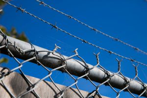 Behind the Wire © Emily Bartlett